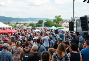 Musicians performing at WindsorMeade Music Fest