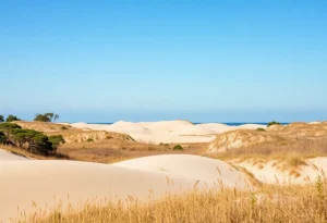 Sandy ridges at First Landing State Park surrounded by greenery